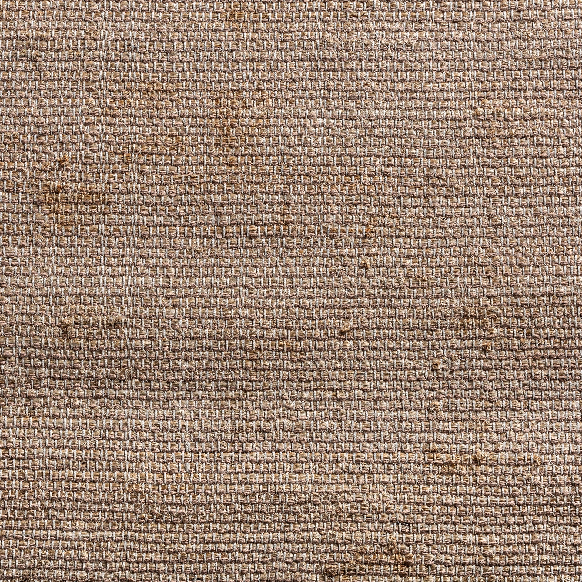 JIONA CARPET
